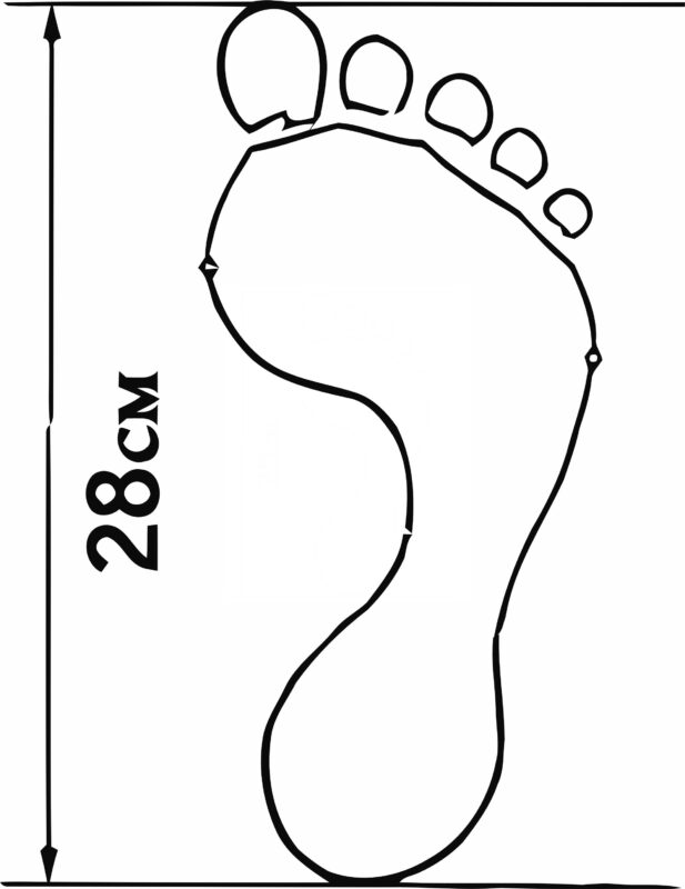 Size chart for FR Skates